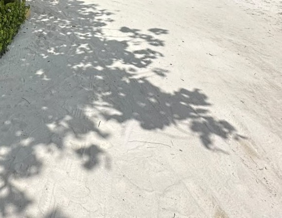 White sand with dappled shade