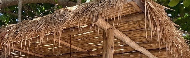 Close-up of dried palm thatch